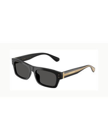 DOLCE & GABBANA - DG4560 - 501/87 - 54