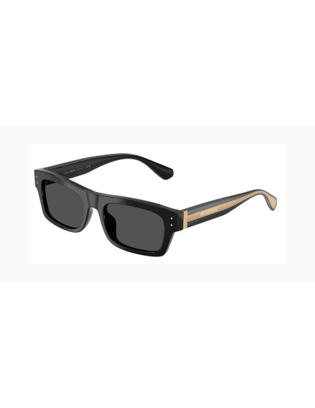 DOLCE & GABBANA - DG4560 - 501/87 - 54