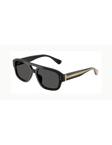 DOLCE & GABBANA - DG4561 - 501/87 - 56