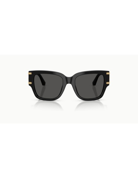 DOLCE & GABBANA - DG4563 - 501/87 - 54