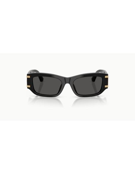 DOLCE & GABBANA - DG4564 - 501/87 - 53