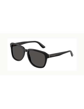 DOLCE & GABBANA - DG4566 - 501/87 - 56