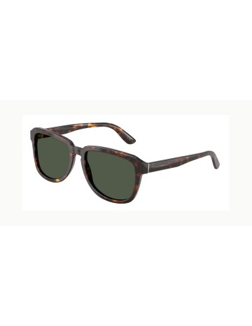 DOLCE & GABBANA - DG4566 - 502/9A - 56
