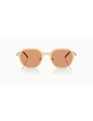 EMPORIO ARMANI - EA2176 - 3002/7 - 51 2