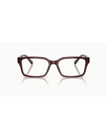 EMPORIO ARMANI - EA3244 - 6174 - 55 2
