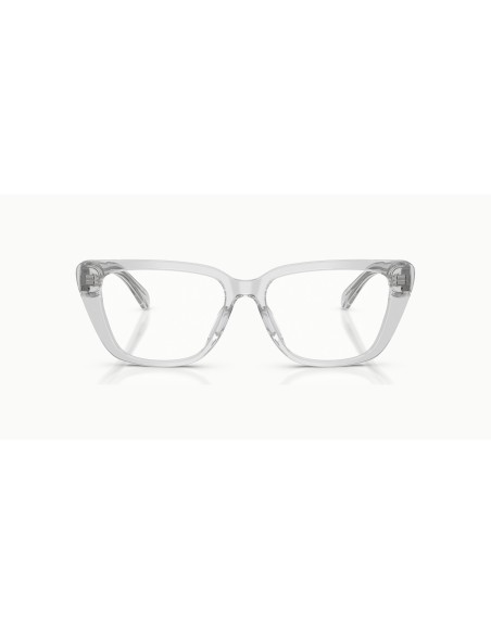 EMPORIO ARMANI - EA3256U - 6250 - 54
