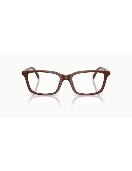 EMPORIO ARMANI - EA3290U - 6454 - 53