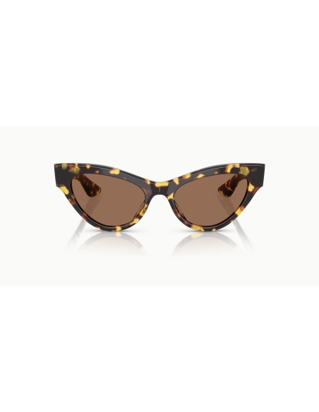 OLIVER PEOPLES - 1951C - OV5573SU - 140773 - 54