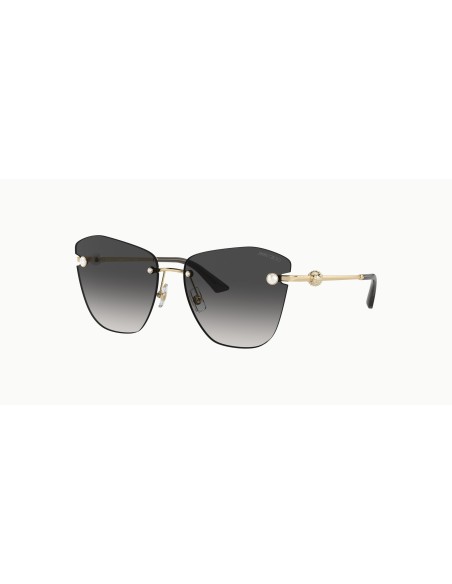Jimmy Choo - JC4004HB - 30068G - 59