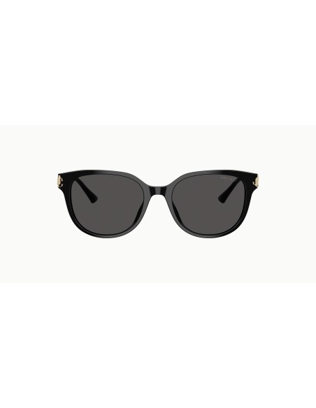 Jimmy Choo - JC5057D - 500087 - 55