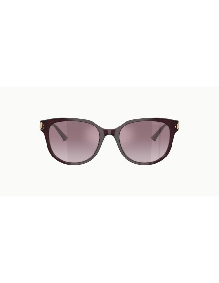 Jimmy Choo - JC5057D - 50866X - 55