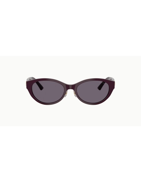 Jimmy Choo - JC5064D - 50751A - 55