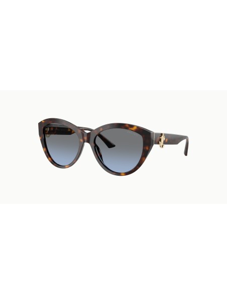 Jimmy Choo - JC5007 - 50028F - 55