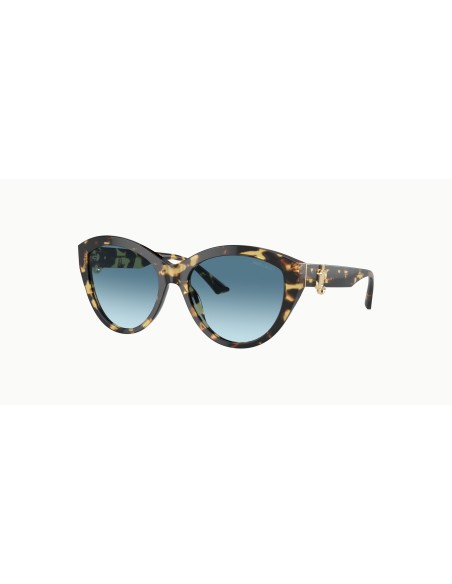Jimmy Choo - JC5007 - 500419 - 55