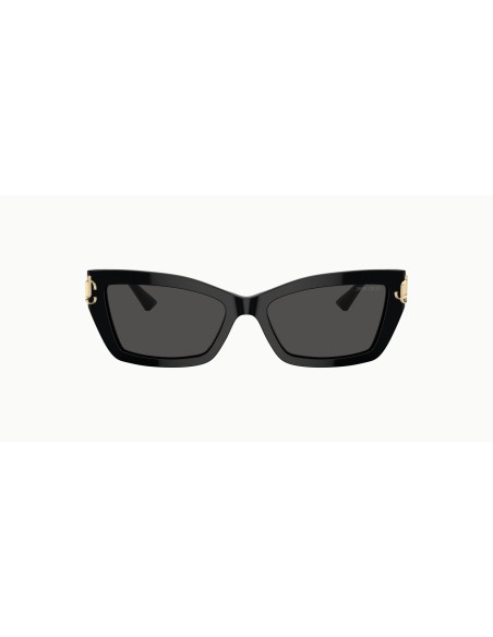 Jimmy Choo - JC5011U - 500087 - 55