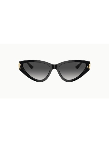 Jimmy Choo - JC5019 - 50008G - 55 2