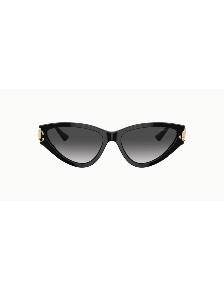Jimmy Choo - JC5019 - 50008G - 55