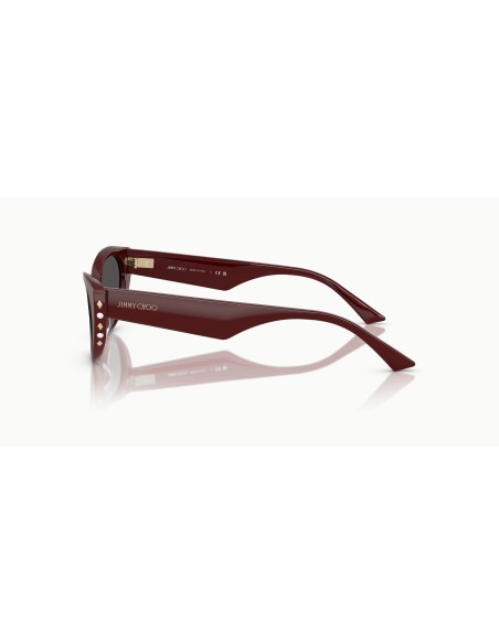 Jimmy Choo - JC5023H - 505787 - 55