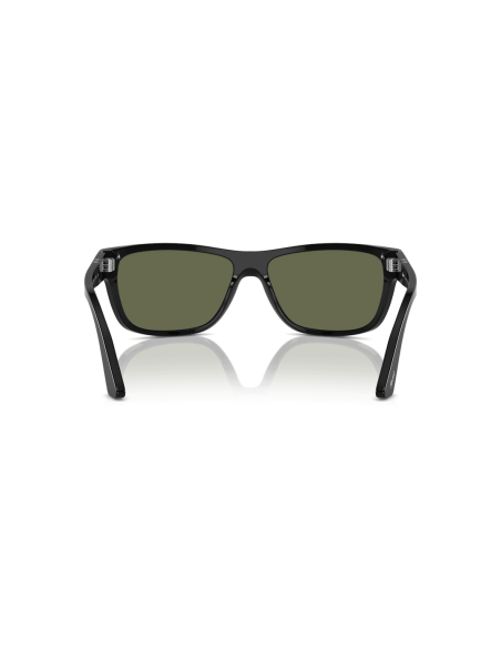 0PO3342S__95_58__P21__shad__bk