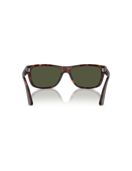 0PO3342S__24_31__P21__shad__bk