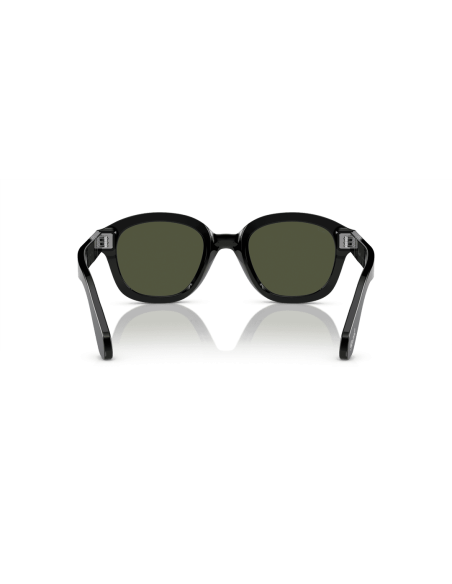 0PO0060S__95_31__P21__shad__bk