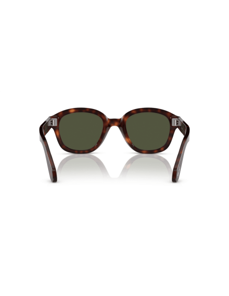 0PO0060S__24_31__P21__shad__bk