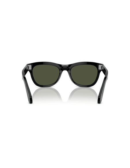 0PO0086S__95_31__P21__shad__bk