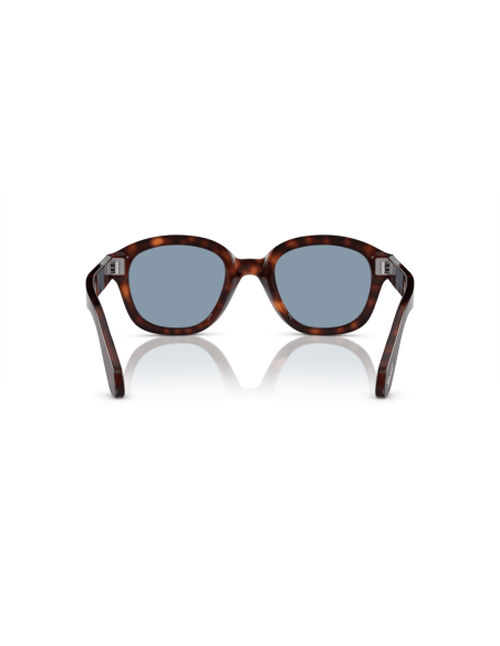 0PO0060S__24_56__P21__shad__bk