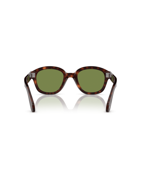 0PO0060S__24_4E__P21__shad__bk