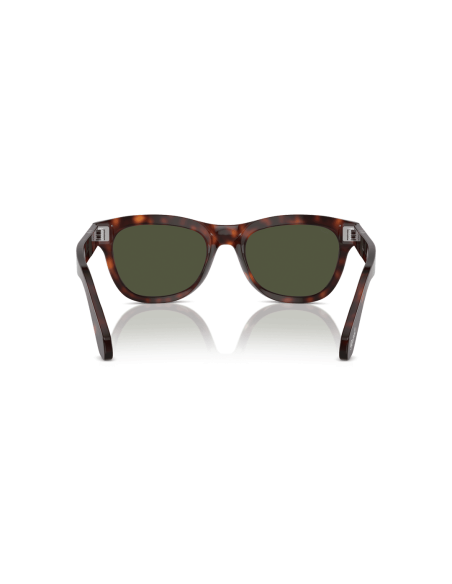 0PO0086S__24_31__P21__shad__bk