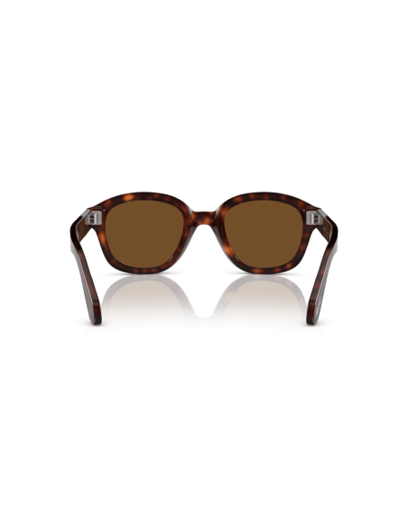 0PO0060S__24_57__P21__shad__bk