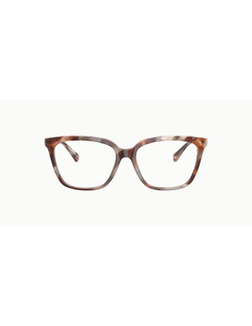 EMPORIO ARMANI - EA3248 - 6195 - 55