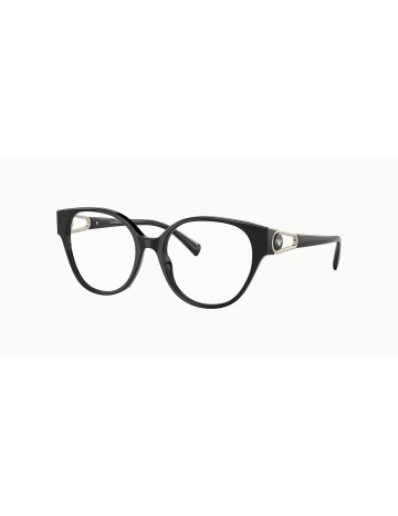 EMPORIO ARMANI - EA3211 - 5017 - 53 2