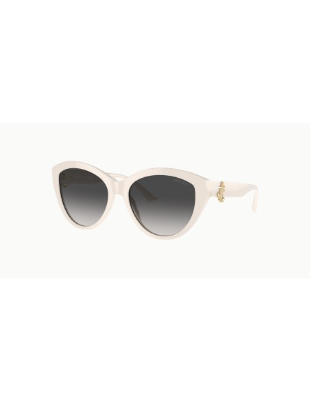 Jimmy Choo - JC5007 - 50088G - 55