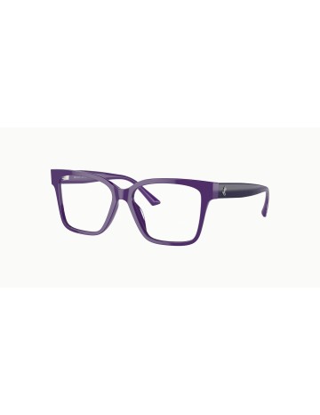 Jimmy Choo - JC3006U - 5050 - 55 2
