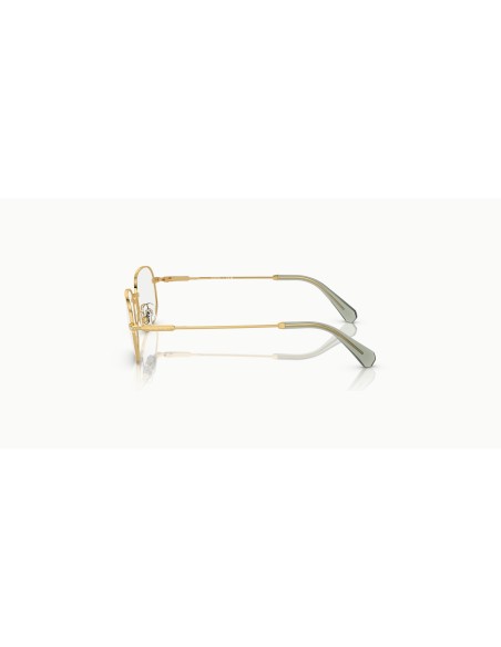 SWAROVSKI - SK1005 - 4004 - 52