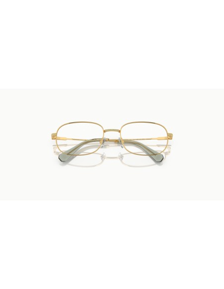 SWAROVSKI - SK1005 - 4004 - 52