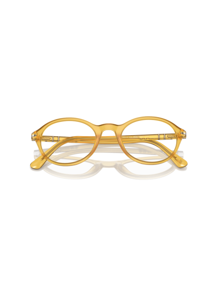 0PO3351V__204__P21__shad__cfr