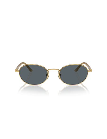 0PO1018S__1129R5__P21__shad__fr