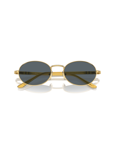 0PO1018S__1129R5__P21__shad__cfr