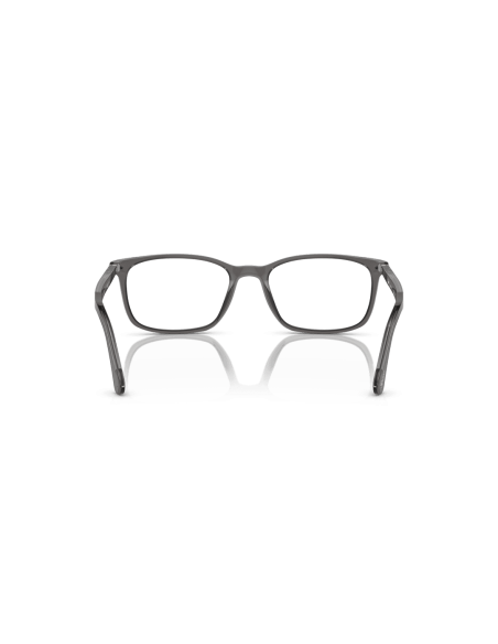 0PO3189V__1196__P21__shad__bk