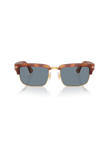 0PO3354S__96_56__P21__shad__fr