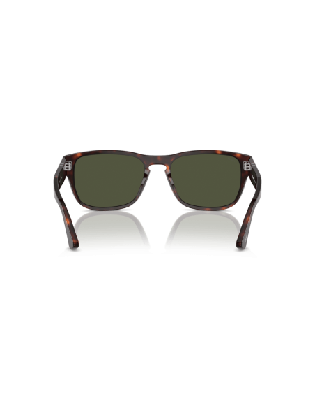 0PO3341S__24_31__P21__shad__bk