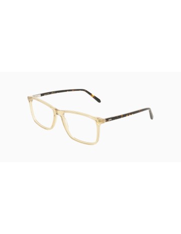 FERRAGAMO - SF3080 - 259 - 57