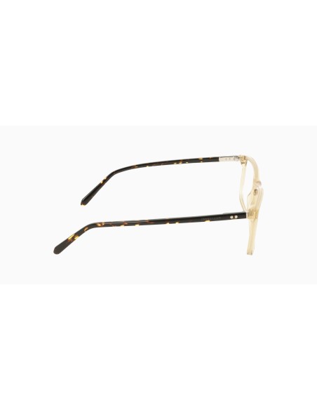 FERRAGAMO - SF3080 - 259 - 57