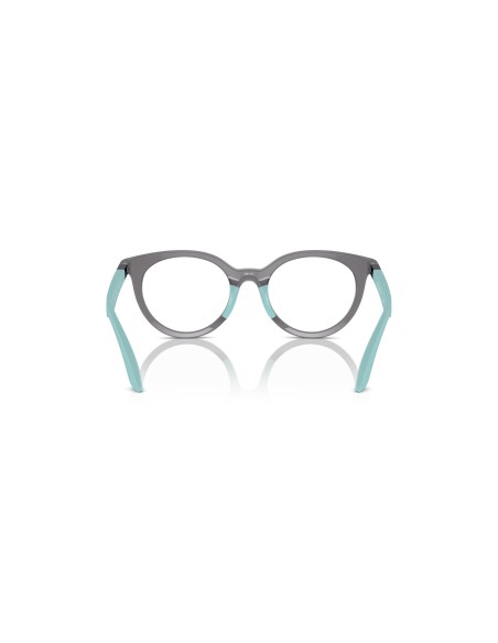 EMPORIO ARMANI KIDS - EK3007 - 6134 - 45