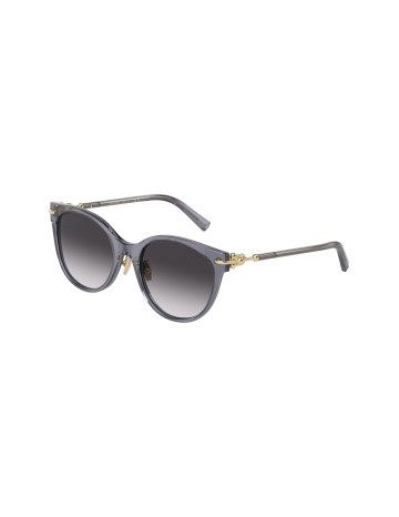 TIFFANY - TF4223D - 84053C - 54