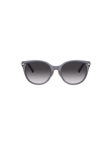 TIFFANY - TF4223D - 84053C - 54 2