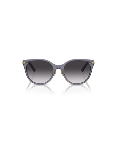TIFFANY - TF4223D - 84053C - 54