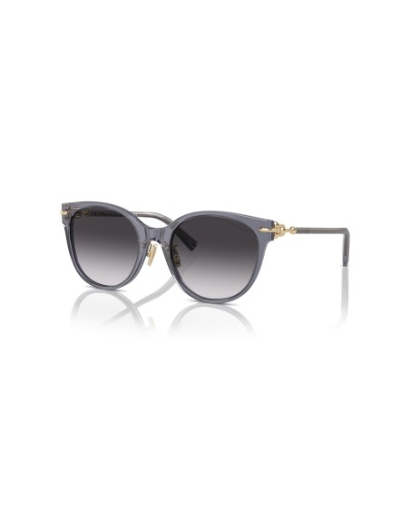TIFFANY - TF4223D - 84053C - 54